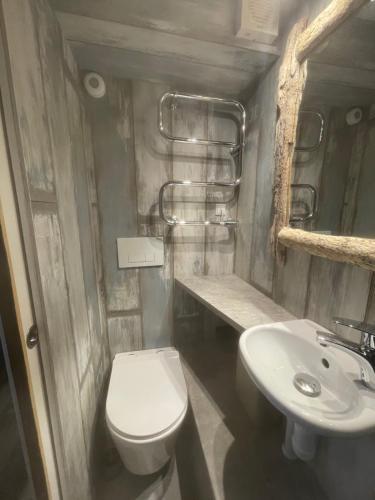a small bathroom with a toilet and a sink at Lille Degnboel Tiny House in Hjørring