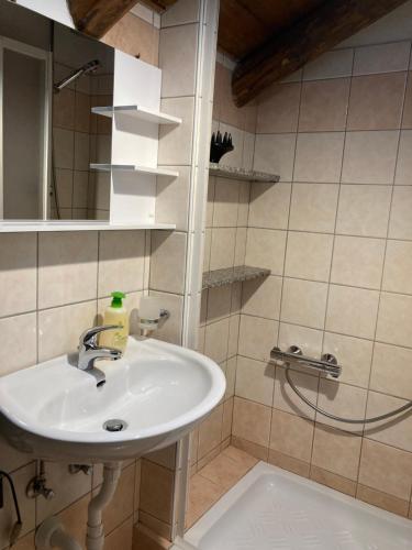 a bathroom with a sink and a shower at Baita Palue in Torcegno