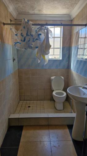 a bathroom with a toilet and a sink at Millys Guesthouse Jhb in Johannesburg