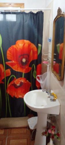 a bathroom with a red poppy shower curtain and a sink at Mi Paraiso in General Pico