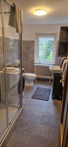 a bathroom with a shower and a toilet and a window at Dehmkerhof in Aerzen