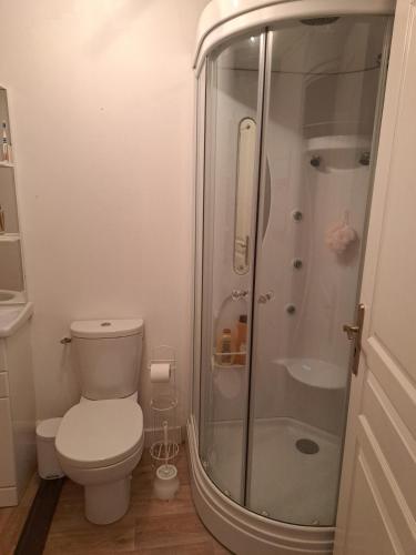 a small bathroom with a toilet and a shower at Domaine de la Viloudard in Saint-Aignan