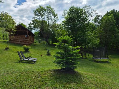 a tree and a bench in a yard with a cabin at Forest House Doftana in Teşila