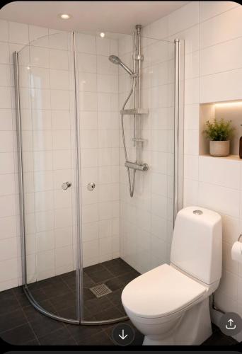 a bathroom with a toilet and a shower at Nordhaven Sundbyberg in Sundbyberg