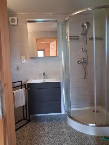 a bathroom with a shower and a sink at Ádova chatová osada in Úbislav