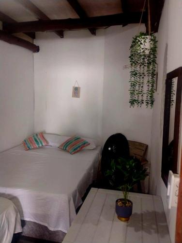 a bedroom with a bed and a potted plant at Pikua Beach Baru in Playa Blanca