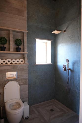 a bathroom with a toilet and a window at Pinat HaNahal in HaGoshrim