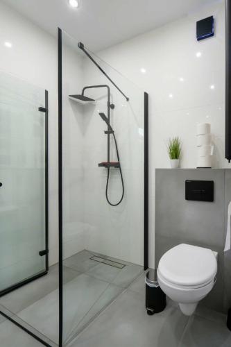 a bathroom with a toilet and a glass shower stall at Domek pod Nowiną in Tylmanowa