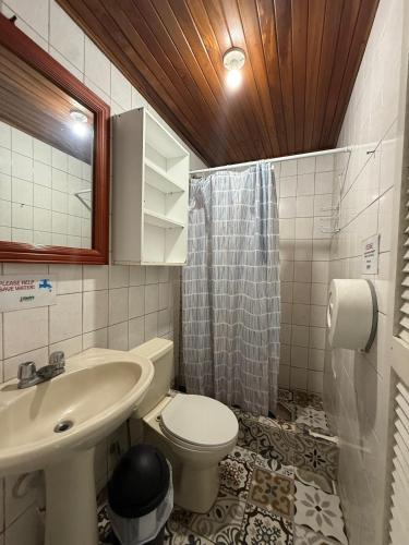 a bathroom with a sink and a toilet and a shower at Gaudy's Hostel in San José