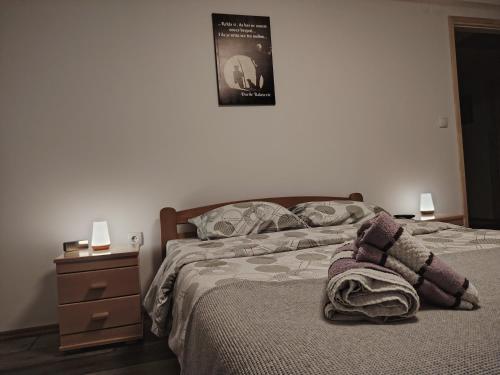 a bedroom with a bed with a nightstand and a picture on the wall at Apartman Dunav Plus in Donji Milanovac