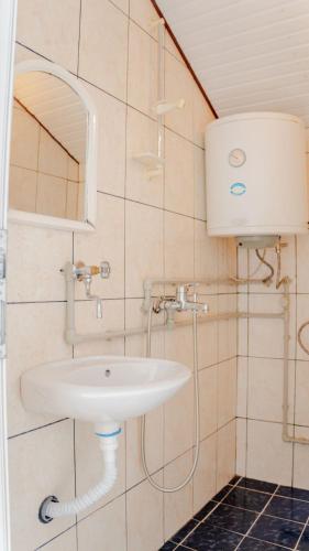 a bathroom with a sink and a mirror at Atina Apartments in Peštani