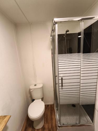 a bathroom with a toilet and a shower at Rustika Tiny House in Pucón