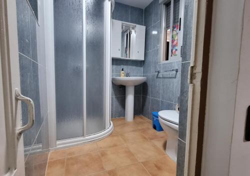 a bathroom with a shower and a sink and a toilet at Gran Areatxa Home Mountain in Santiago de la Espada