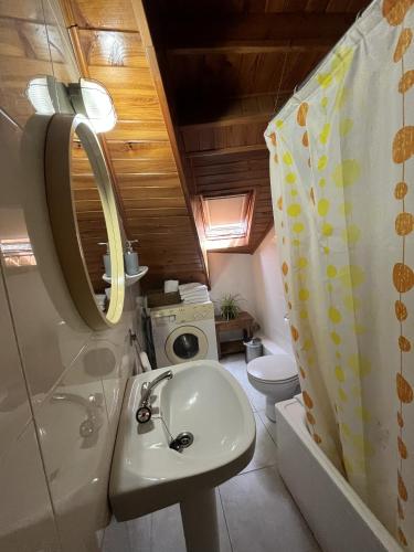 a bathroom with a sink and a toilet at Casa Campaner in Valencia de Aneu