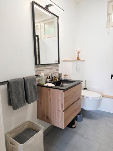 a bathroom with a sink and a mirror and a toilet at Seaview.Cassis in Cassis