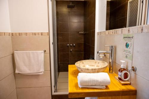 a bathroom with a sink and a shower at Hotel Chardonnay in Tupungato