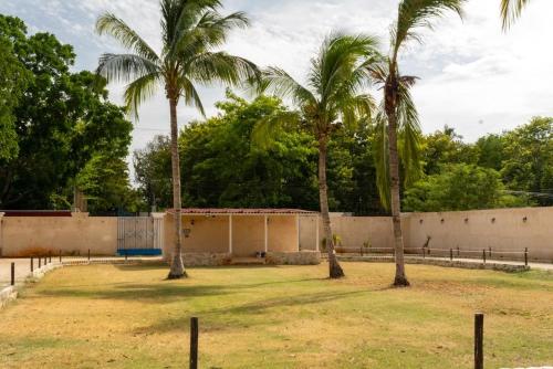 two palm trees in front of a building at Hotel Hacienda IMI 3 in Imí
