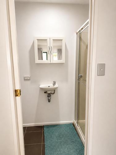 a bathroom with a sink and a shower at Pine Grove Retreat in Auckland