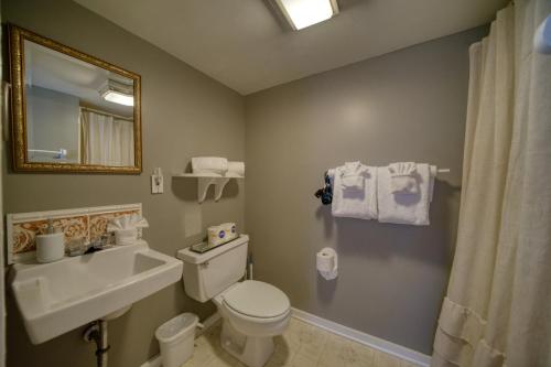 a bathroom with a toilet and a sink and a mirror at Downtown Four Poster Piedmont in Eureka Springs