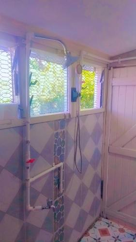a bathroom with a shower and a window at Riverside Holiday Arartment in Sigatoka