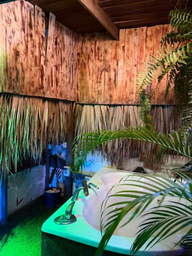 a bathroom with a sink and a palm plant at Valle Encantado in Pantoja