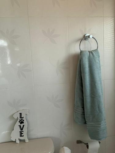 a bathroom with a green towel hanging on a wall at Keisha's luxury stays in Santa Cruz