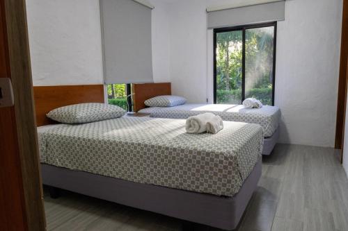 three beds in a room with a window at Fernando's Bungalow in Puerto Ayora