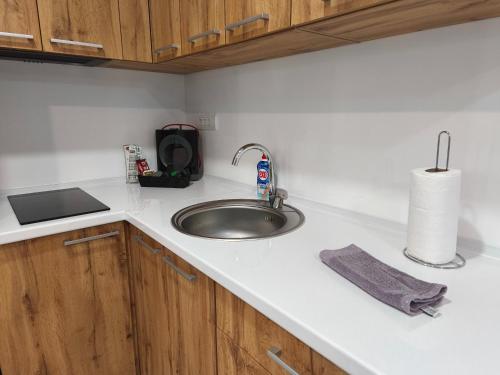 a kitchen counter top with a sink and a sink at Aura apartment in Petrovec