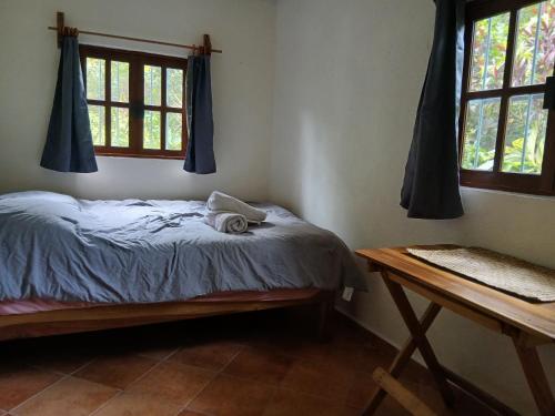a bedroom with a bed and two windows at PETIT PARADIS CABAÑA Catemaco Rainforest Nature in Catemaco
