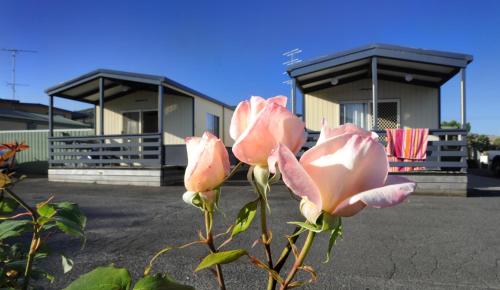 Φωτογραφία από το άλμπουμ του Apollo Bay Holiday Park σε Apollo Bay