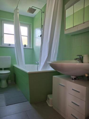 a green bathroom with a sink and a toilet at Ferienwohnung Edith-Maria in Bad Goisern