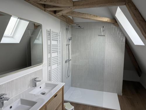 a bathroom with a shower and a sink at Manoir de Cottentray Charming Manor in Avesnes-en-Bray