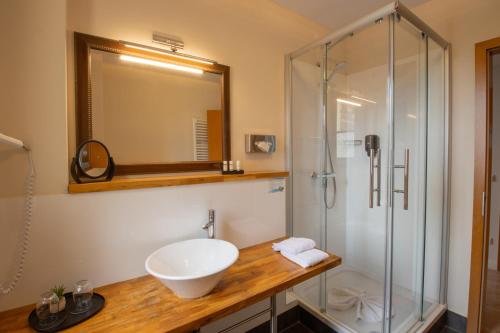 a bathroom with a sink and a shower at Boutique Hotel Schwarzer Baer in Lutherstadt Wittenberg