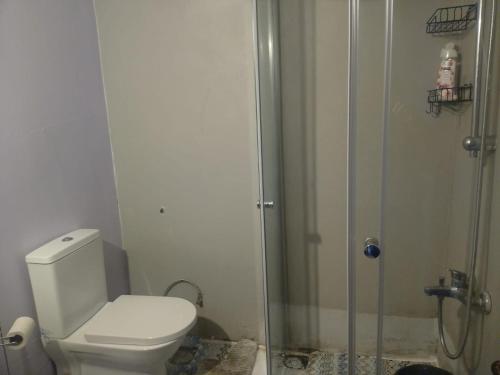 a bathroom with a toilet and a shower at Apartament Ada in Buyukada