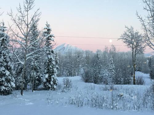 a snow covered field with trees and a mountain at Sawing Logzz Cabin in Copper Center