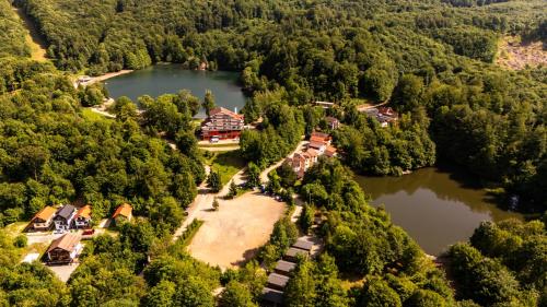 an aerial view of a house in the middle of a lake at CABANA BERNER stațiunea Mogoșa in Baia-Sprie