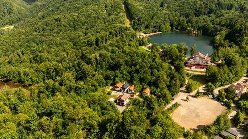 an aerial view of a house in a forest next to a lake at CABANA BERNER stațiunea Mogoșa in Baia-Sprie