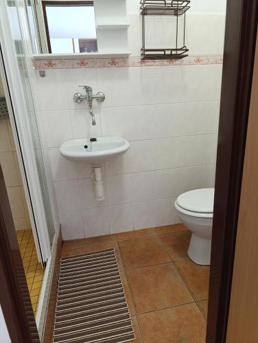 a bathroom with a sink and a toilet at Pod hradem Cornštejn in Oslnovice