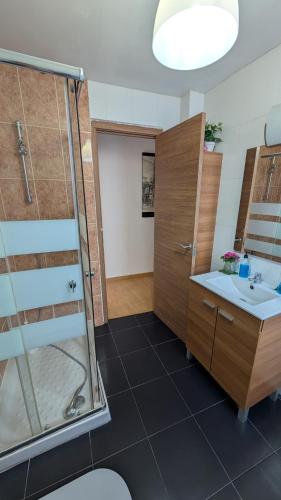 a bathroom with a shower and a sink at Alojamiento Oviedo 2 con parking in Oviedo