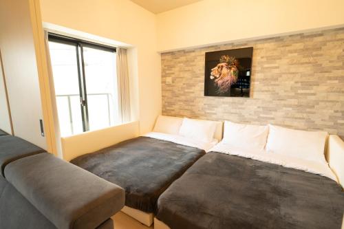 FLYHAWK LAllure Osu