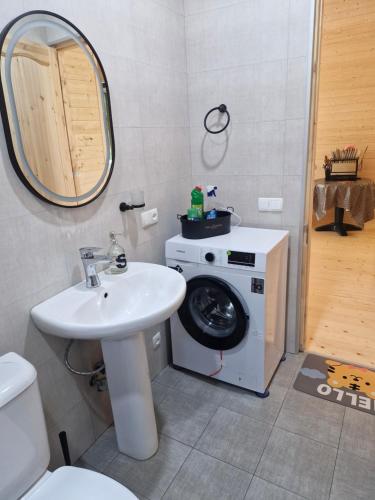 a bathroom with a washing machine and a sink at Cottage in Tskhvarichamia forest 2 in Tsʼkhvarichamia