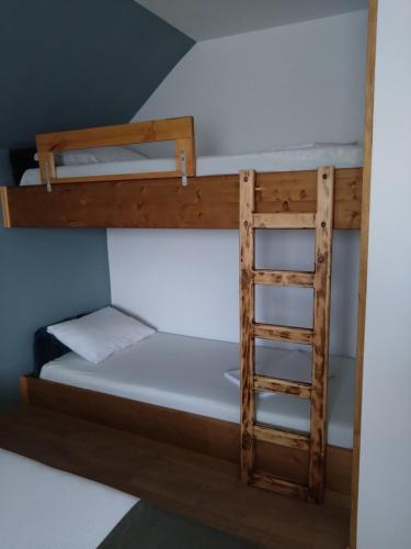 a bunk bed with a ladder in a room at Pensiunea Balea Sat in Cârțișoara