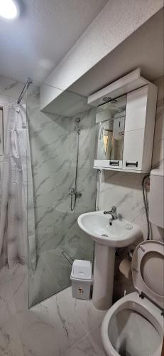 ein Badezimmer mit Toilette und Waschbecken in der Unterkunft Apartment Baya Friendly in Žabljak