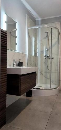 a bathroom with a shower and a sink at Apartament Fabryczna TK in Namysłów