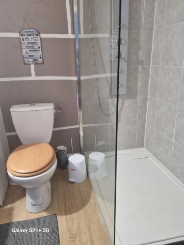a bathroom with a toilet and a shower at Chez Marilou in Arcens