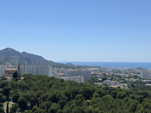 Beau T5 avec terrasse et vue mer