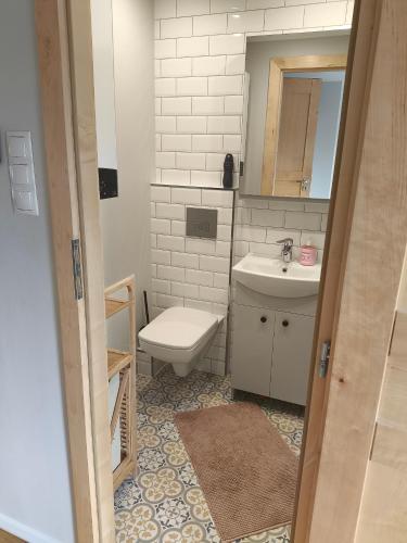 a bathroom with a toilet and a sink at Apartament Jeziorna in Debrzno