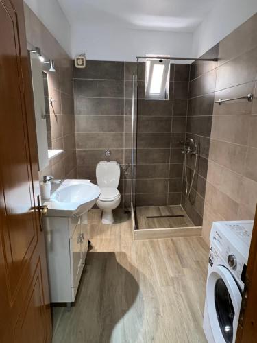 a bathroom with a toilet and a sink and a shower at Alexandra' s Apartments in Plataria