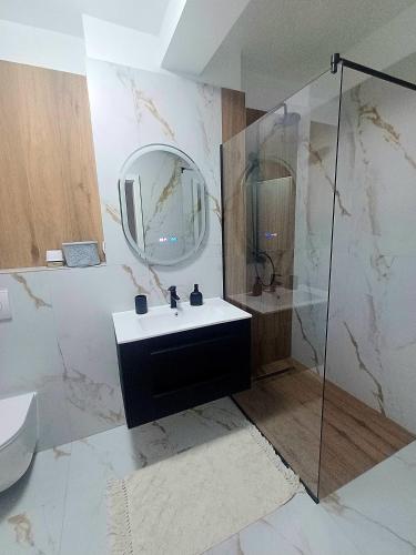 a bathroom with a sink and a glass shower at AMA Home in Sebeş