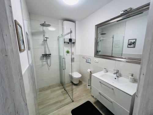 a bathroom with a shower and a sink and a toilet at Łebska ostoja in Żarnowska